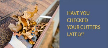 Have You Checked Your Gutters Lately